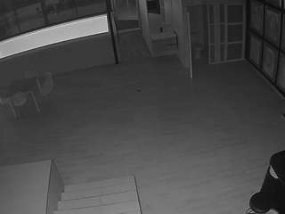 voyeurcam casa salsa panoramic